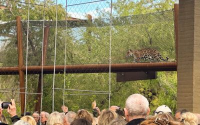 Engineering for Wildlife and Community